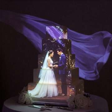 Cake Mapping Projection